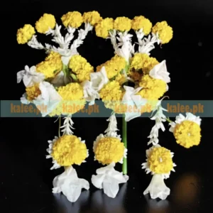 Marigold Flowers Complete Jewellery Set - Kalee کلی